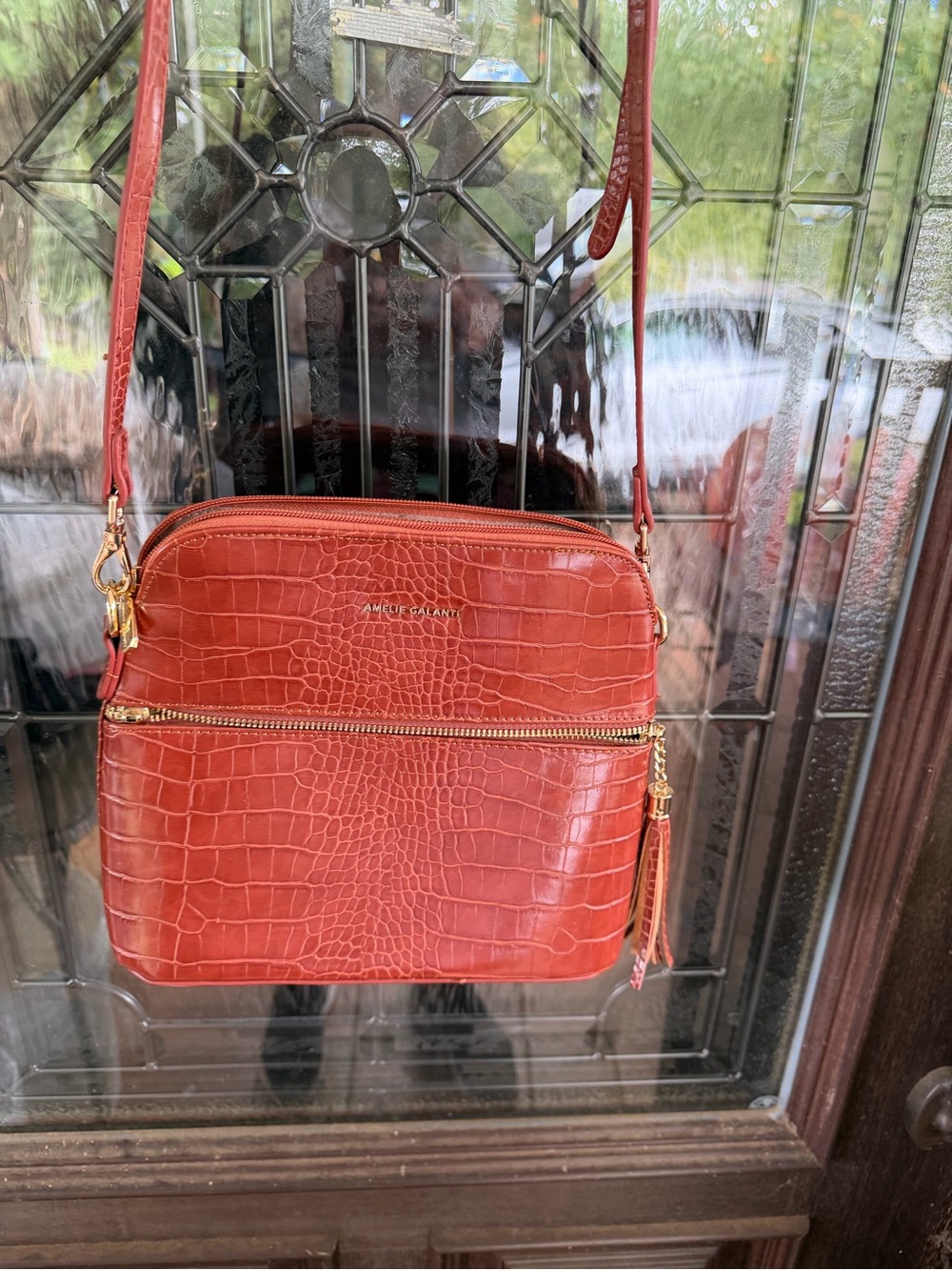 Croc-Embossed Crossbody Bag in Rust